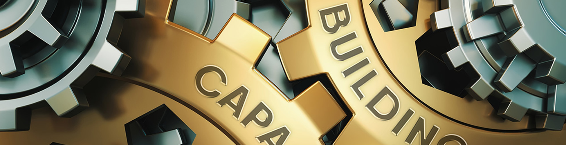 Scaling Entrepreneurship and Building Firm Capabilities