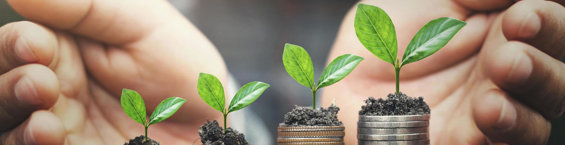 Enhancing the Enabling Environment for Supporting the Financial Inclusion and Growth of Entrepreneurs