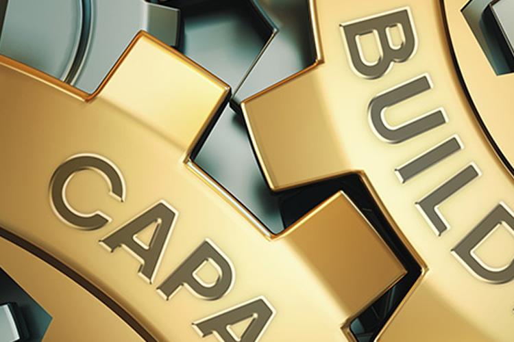 Scaling Entrepreneurship and Building Firm Capabilities