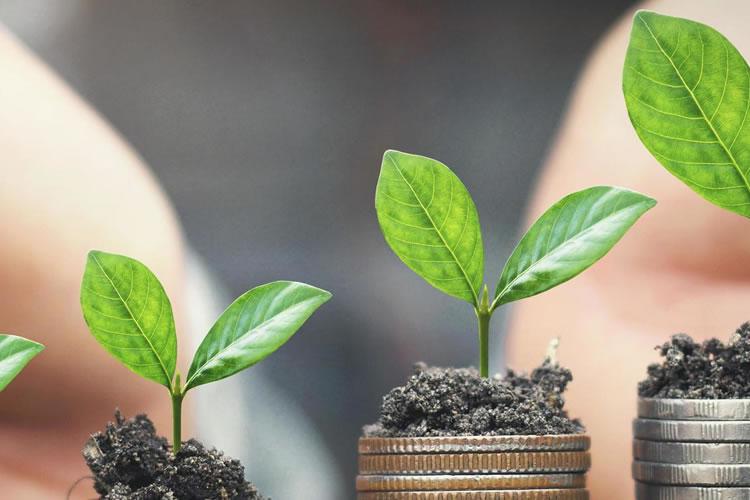 Enhancing the Enabling Environment for Supporting the Financial Inclusion and Growth of Entrepreneurs